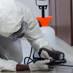 Рыжие захватчики: как дезинсекция превращает кухню из поля битвы в крепость